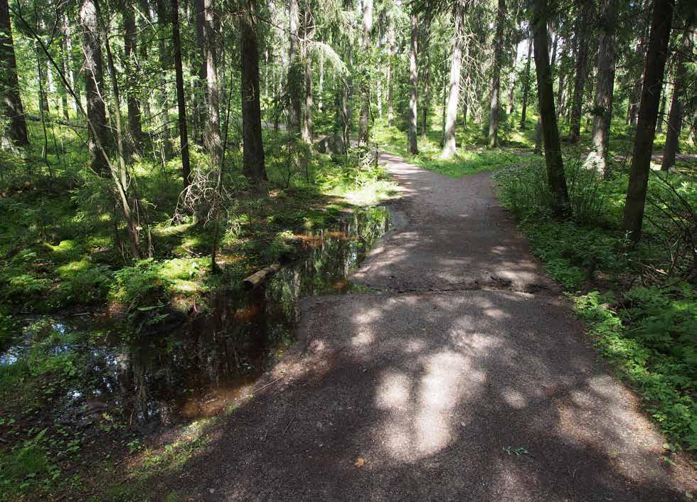 4.4 PINTAVESIEN HALLINTA, NS. SININEN VERKOSTO Uutelassa ei ole hulevesiviemäröintiä vaan pintavedet imeytyvät maaperään tai johdetaan avo-ojiin.