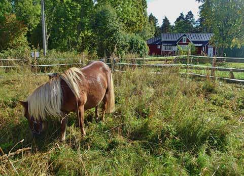 Pienempi osa on koulutuskenttä, jota vuokrataan esim. agilitykäyttöön seuroille. Suurempi osa on kaikille käyttäjille avoin koira-aitaus.