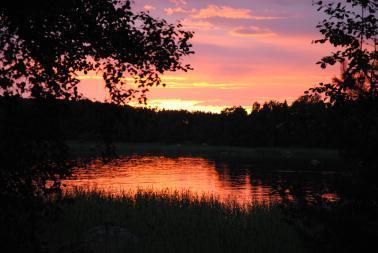 Vaihdoin suunnitelman, että teinkin pilarit tavallisesta 2*4 :sta. Nuo vihreät puut säästyvät laituriin. Yksi kattopalkki jäi uupumaan. Virittelin ressun katoksen ylle. Tuija leipoi mustikkapiirakan.