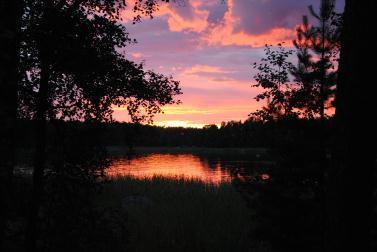 kauppareissulla Ilma +20 C, aurinkoista, sadekuuroja, vesi +16 C Siipirikko vielä hengissä, kettu ei ole löytänyt. Markku Sandström Aamusta lähdin hakemaan evästä.