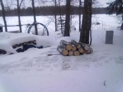 Kun Pekka saapui, veimme Pekan kanssa neljä kuormaa Lammassaareen.
