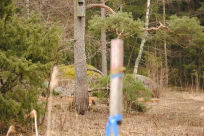 Markku Sandström Mökki ja grillimaja lännestä kuvattuna Markku Sandström Iltapäivällä jatkoin kasojen tekoa ja niiden siirtämistä metsään.
