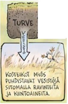 Suot puhdistavat vesiä Kaisa Heikkinen,