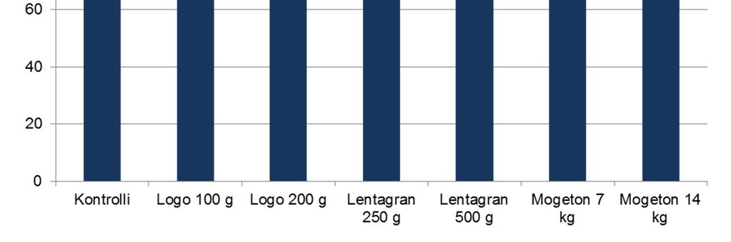 2012; Amerikanhorsma kylvetty 14.8.