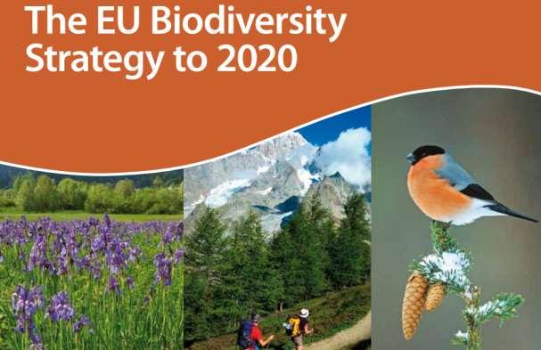 EU:n biodiversitettistrategia 2020 Monimuotoisuuden heikkenemisen