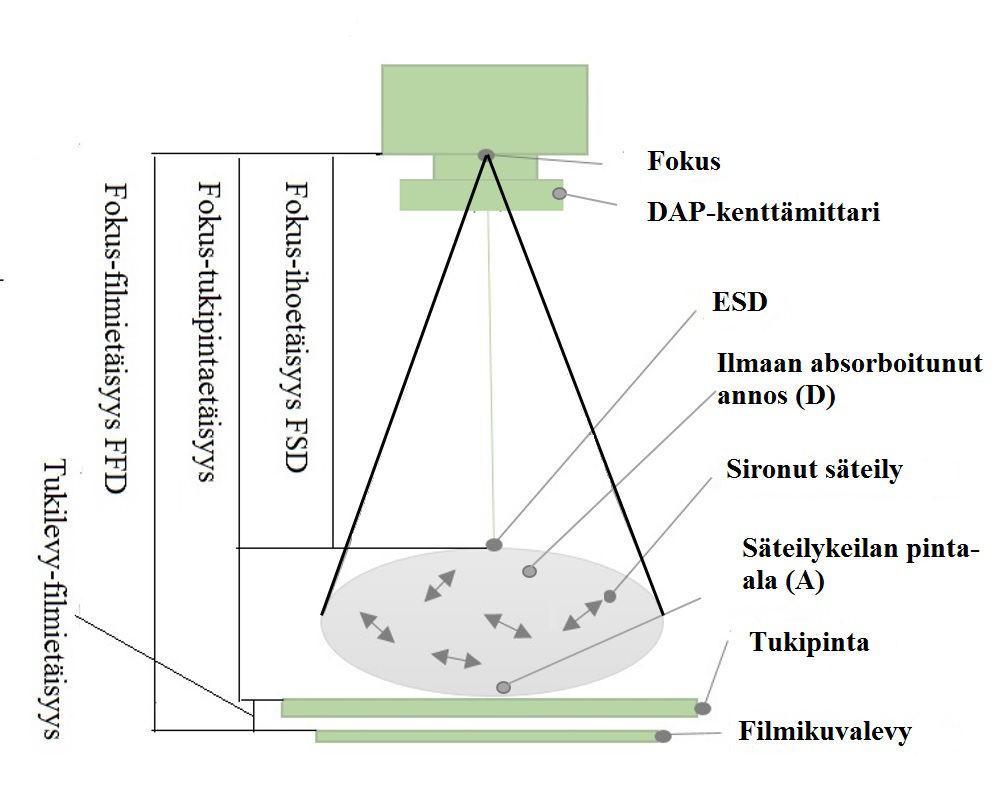 Kuva 6: Pinta-annoksen (ESD) sekä annoksen ja pinta-alan tulon (DAP) määritelmistä ja niiden mittaamiseen vaativista etäisyyksistä Potilaan iholta mitattaessa voidaan käyttää esim