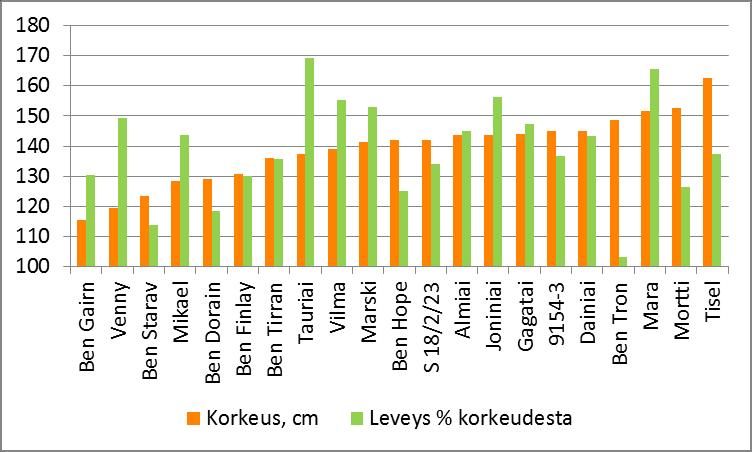 Mustaherukan lajikkeiden korkeus (cm) ja