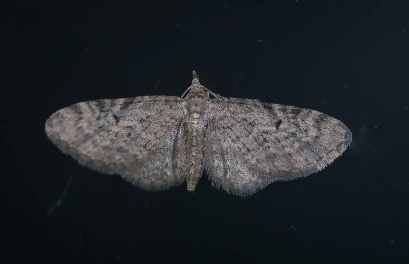 lepoasentokuvat.