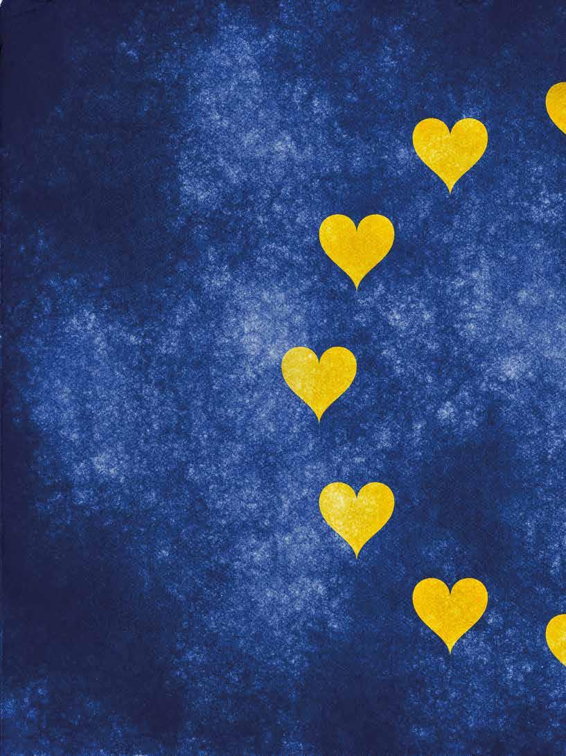 Uuden lain alueiden kehittämisestä ja kasvupalveluista on suunniteltu tulevan voimaan 1.1.2020.