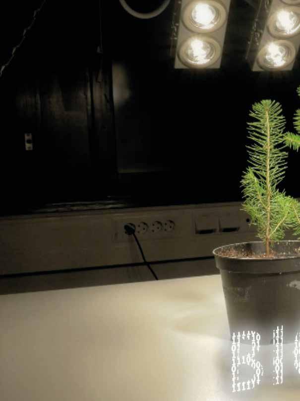 Äkillisen rakennemuutoksen kannalta metsäbiotalous ja teknologiateollisuus ovat merkittävyydeltään niin isoja, että vaikeudet näillä aloilla näkyvät koko maakunnan aluetaloudessa.