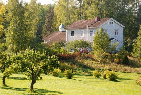 Viheralueiden kunnostusta, osallistujien oma kasvimaa, eläinten