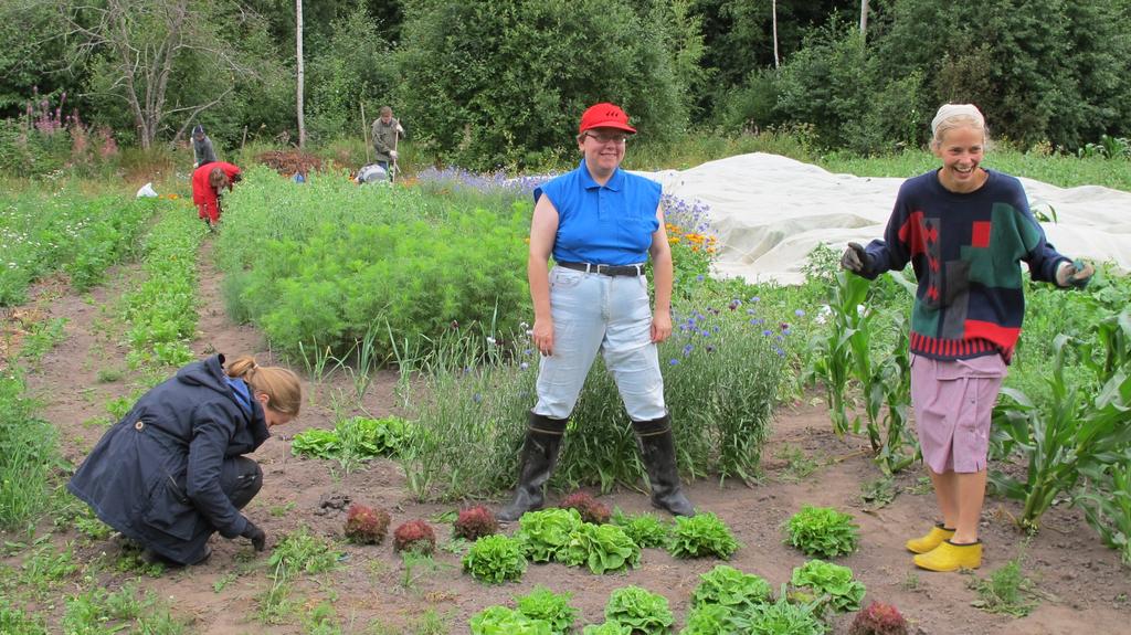 Sininauhaliiton Pilotti Sipoossa Kuntoutujia Klubitalon kautta & tiedotusta MTKL:n Propellissa 4-6kk jakso 5,5h/krt/viikko Suunnitellaan ja hoidetaan omaa