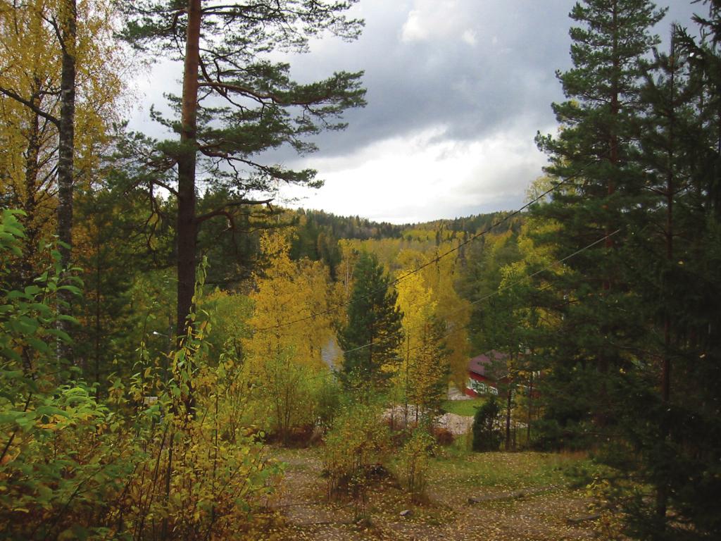 Nuuksiokeskus Oy
