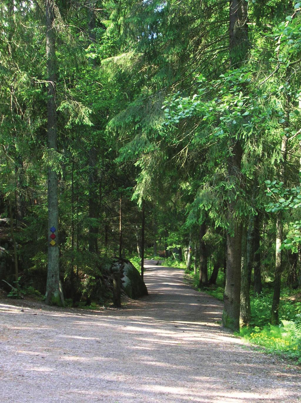 Ulkoilualueiden kansallispuistoa monipuolisempi palvelutarjonta suosii tavallista ulkoilua varsinaisen luonnossa samoilun sijaan.
