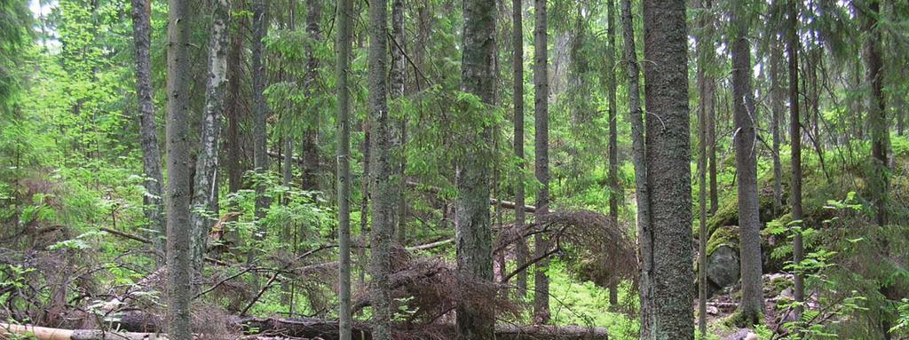 Nuuksion kansallispuistoa on kehitetty virkistys- ja retkeilypainotteisena kansallispuistona. Tähän saakka puiston tarjoamat opastus- ja asiakaspalvelut ovat olleet vähäisiä.