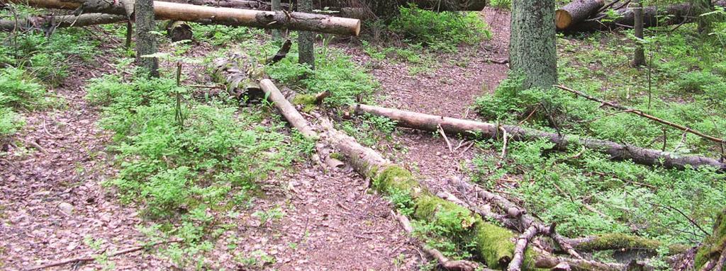 Kansallispuiston alue on suunnitelmassa jaettu kolmeen osaan joita ovat: syrjäosa, nähtävyysosa ja nähtävyysosa/käytön keskittymä.