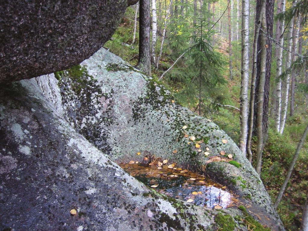 Kuva 9. Hiidenkirnut ovat joskus helposti nähtävissä, kun niihin ei ole kertynyt liikaa kariketta. Kuva: Meri Mannerla-Magnusson. 7.2 