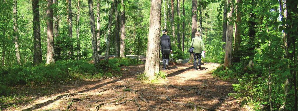 Tallauksen seurauksena leiripaikkojen tai polkujen kasvillisuus muuttuu.