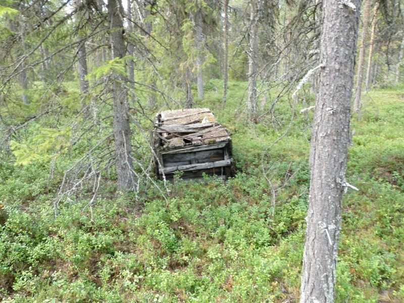 768 Ympäristön 0 Ei määritelty Vesipasa on