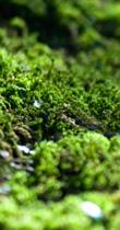 Laittomat sopimukset kilpailijoidemme kanssa, lahjonta tai asiattomien etuuksien antaminen viranomaisille tai muiden yritysten työntekijöille on ehdottomasti kielletty.