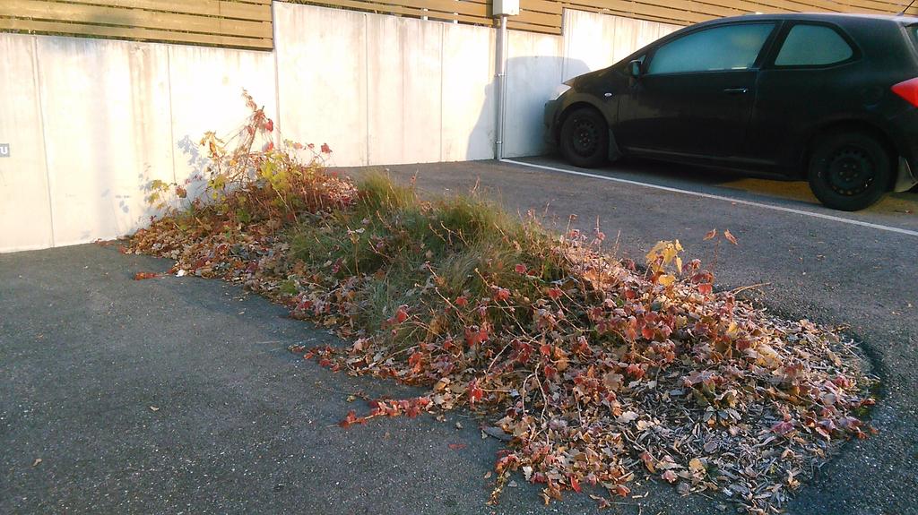 Pensasalueille levitetään huolellisen kitkemisen jälkeen kuorikatetta 5-7 cm paksuinen kerros, joka pitää jatkossa rikkaruohot kurissa. Kaikkien puiden tuennat poistetaan, mikäli niitä on jäljellä.