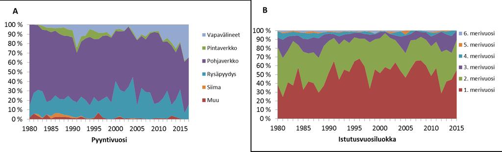 Perämerelle istutetuista taimenista pyydetään merkintöjen perusteella noin 80 % kahden ensimmäisen merivuoden aikana ennen kuin ne ehtivät kasvaa sukukypsiksi.