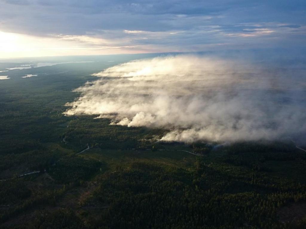 Suurista metsäpaloista