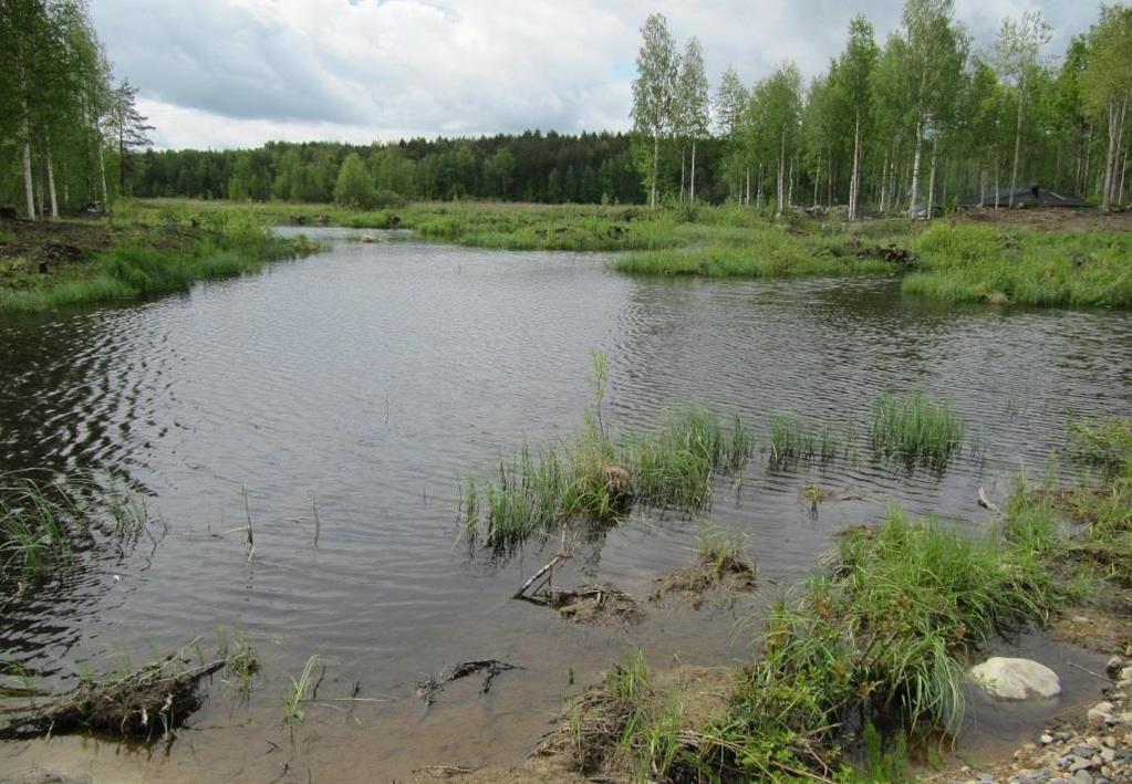 20 Tämä kosteikko on malliesimerkki hyvästä riistakosteikosta. Alueella havaittiin useita heinäsorsapoikueita sekä muitakin vesilintuja.