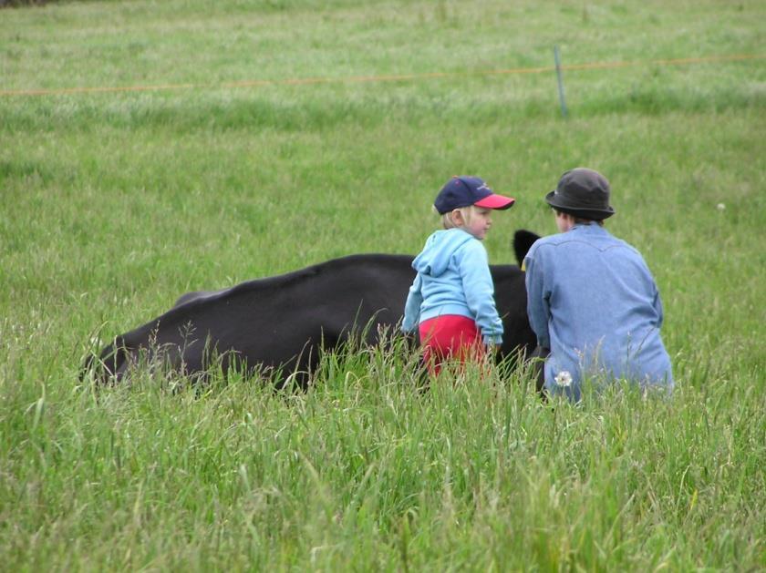 Maataloudella on ilmastonmuutoksen suhteen monta roolia ilmastonmuutoksen vaikutukset tuovat sopeutumistarpeita maataloudessa muodostuu kasvihuonekaasupäästöjä ratkaisuja ja mahdollisuuksia