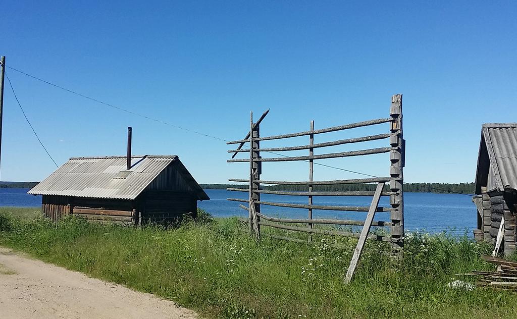 Jäsentiedote 4/2017