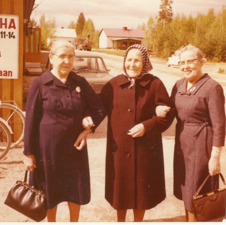 neiden sukujen tarinat alkavat yleensä pakomatkan kuvauksella, jonka jälkeen kerrotaan pakolaisten sijoittumisesta ja sopeutumisesta suomalaiseen yhteiskuntaan.
