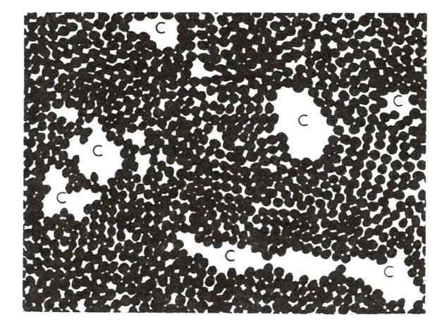9 valkoiset alueet kuvaavat geelihuokosia ja suuremmat valkoiset alueet, joissa on kirjain C, kuvaavat kapillaarihuokosia. Kuva 2. Sementtikiven huokosrakenne (4.