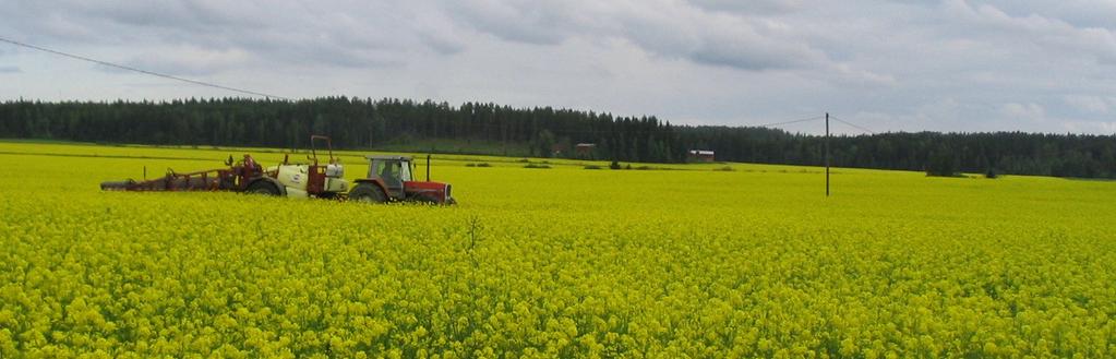 Rypsin ja rapsin korrensäätö nykyisin Suomessa hyväksytty vain Cerone - ruiskutetaan varren pituuskasvun aikaan ennen kukinnan alkua - käyttömäärä 0,5 0,7