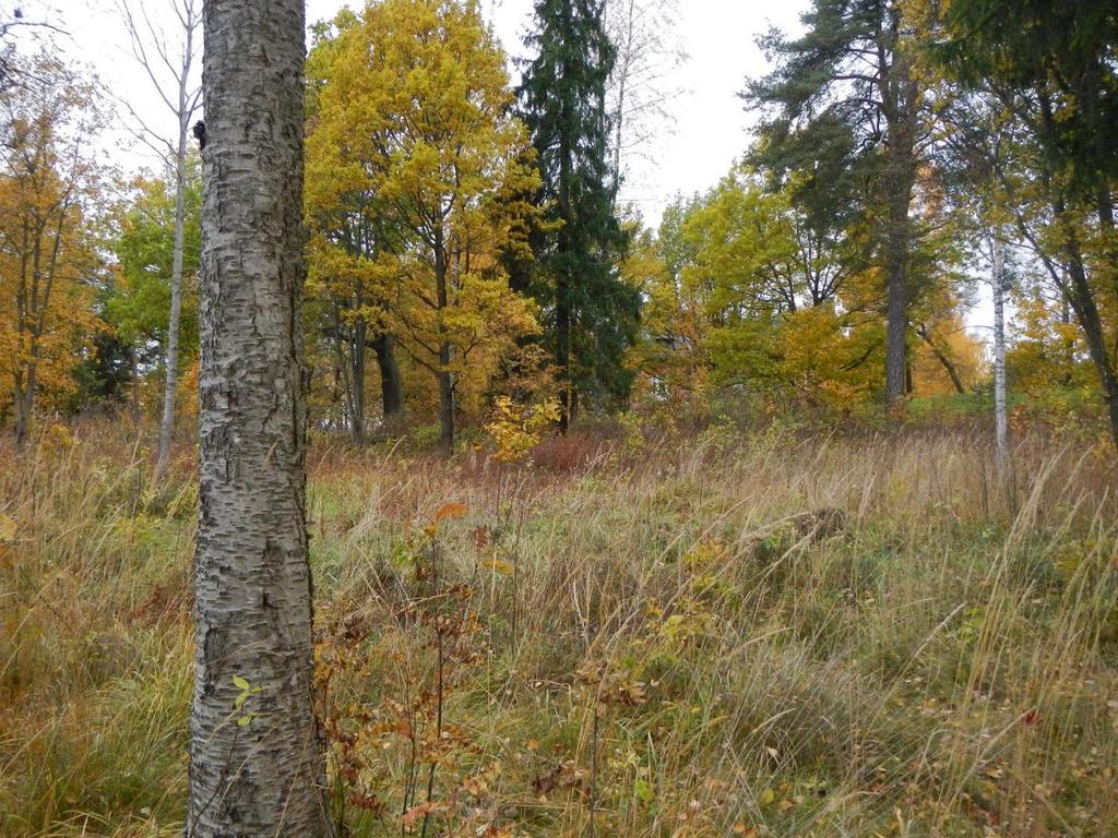 7 Vasemmalla ylhäällä puiston portaikko, alla