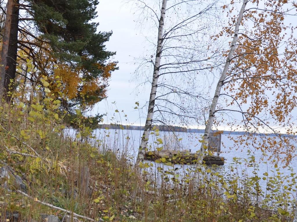 Oikealla ylhäällä tasanteen pengerryksiä ja