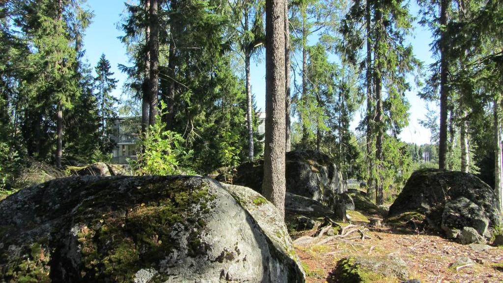 Alueen maaston muotojen kannalta rakentamisvaiheessa tulee laatia tonttikohtaisia suuntaviivoja hulevesien keräämiselle ja poisjohtamiselle.