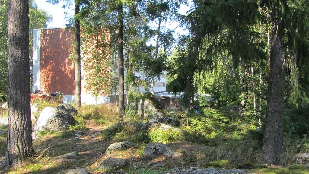 Kuvat 3 ja 4. Kasvillisuutta. Luonnonsuojeluohjelma-alueet ja Natura-alueet Alueella ei ole luonnonsuojeluohjelmiin kuuluvia alueita eikä Natura-alueita. 3.3 Rakennettu ympäristö Kaava-alue sijaitsee Mustasaaren kunnan keskustaajamassa Sepänkylässä.