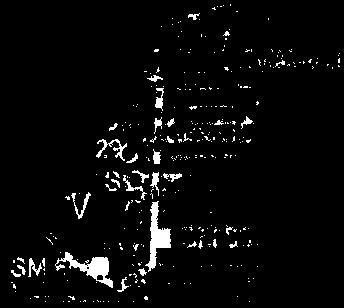 . ^.pf^-j^g 1611 SMil2gygn^_: SM614rjs^6»- SM en ~
