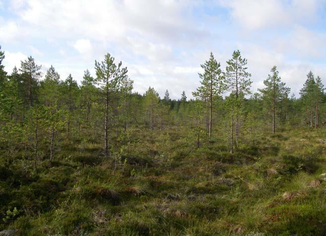 Helveteskärretin tutkimus- ja syvyyspisteet.