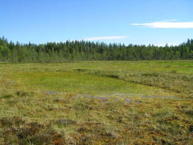 Skitupottmossenin tutkimus- ja syvyyspisteet.