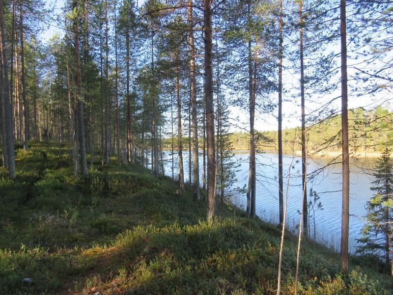 7 Kuva 7 Törmä Hakojärven etelärannassa kuvattu