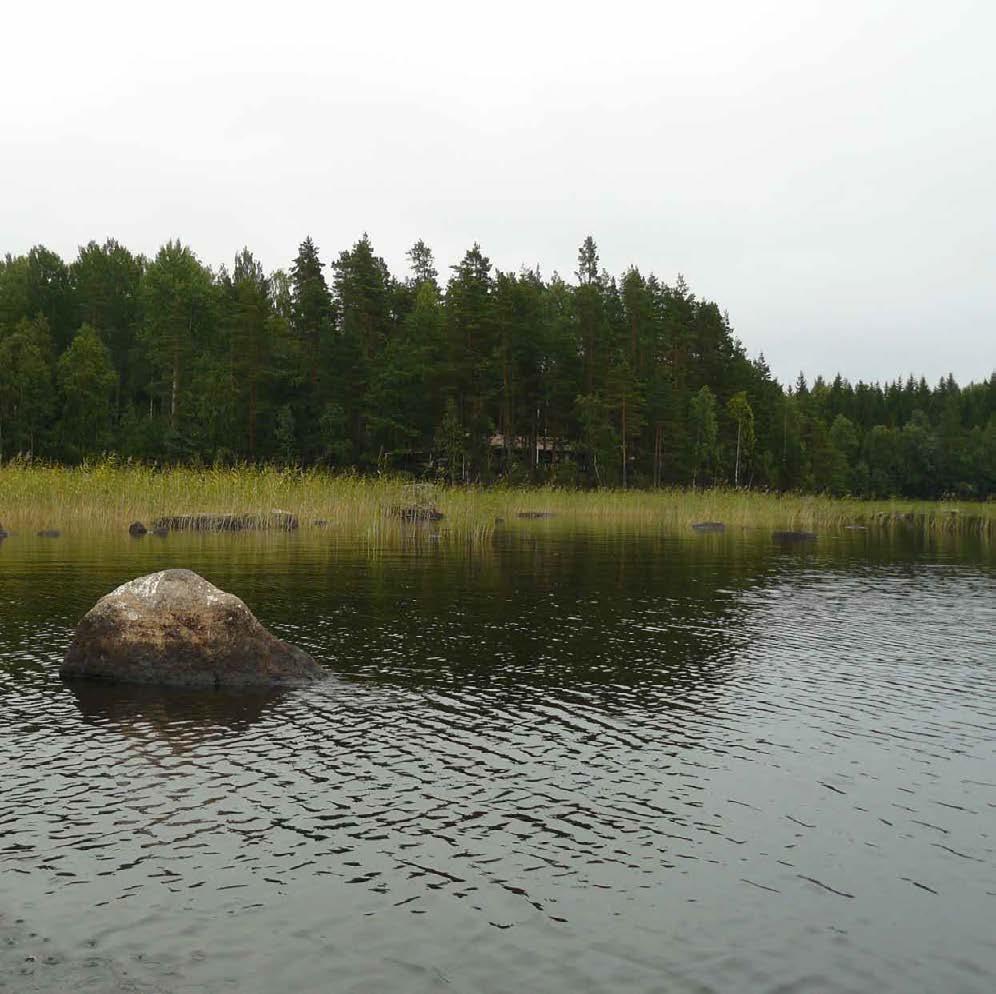Raportteja 26 2012 Loviisan Särkjärven perustila