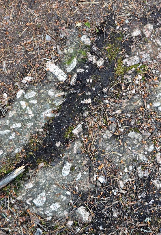 biotiitti ja sarvivälke. Ilkonsaaren granodioriittille ovat tyypillisiä kivipinnoilla vaaleana erottuvat kookkaat kalimaasälpähajarakeet.