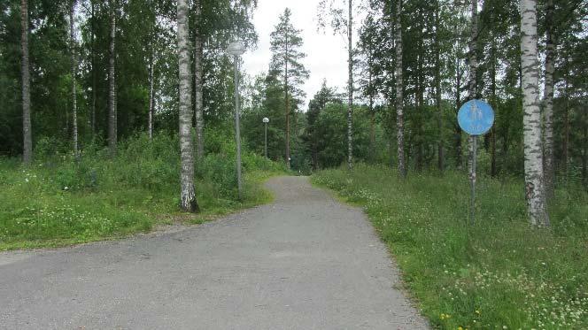 Suositukset: Alueen pohjoisosassa on järeä kolopuukoivu, joka tulee säästää. Myös riittävästi kolopuut ympäröivää puustoa tulee säästää, varsinkin läheiset tiheäoksaiset järeät kuuset.