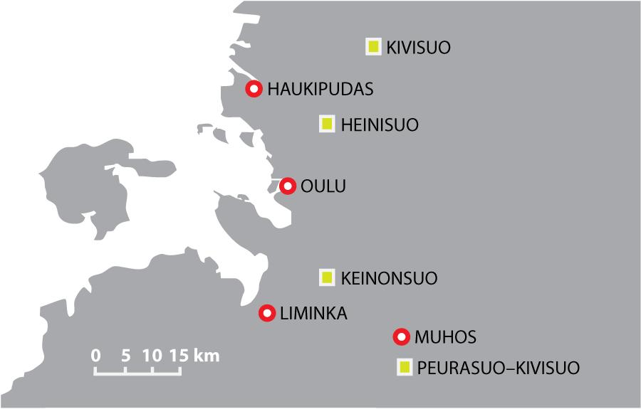 Auvinen, A. P. ja Lehikoinen, A. 2014. Suolinnustokartoitukset 2014: Peurasuo Vesisuo (Muhos, Tyrnävä), Keinonsuo (Kempele), Heinisuo (Oulu) ja Kivisuo (Oulu).