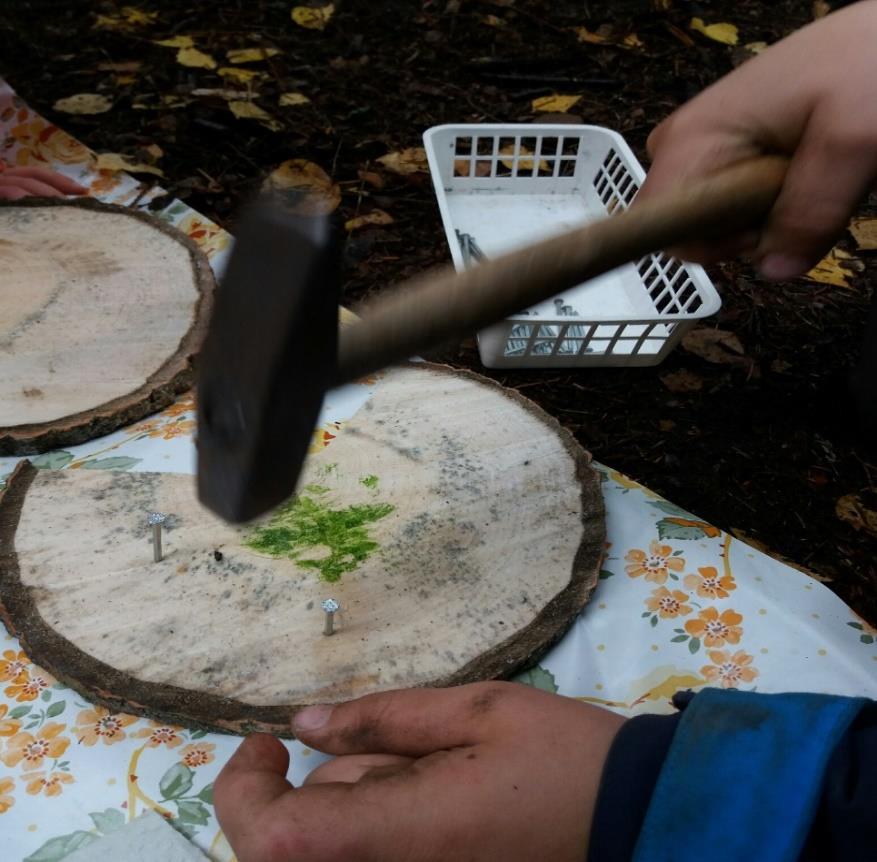Toiminnan dokumentointi, arviointi ja kehittäminen Havukassa PEDAGOGINEN DOKUMENTOINTI Toiminnan dokumentointi on osa arkea ja sitä tehdään yhdessä lasten kanssa.