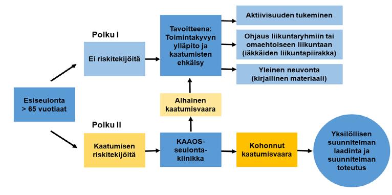 63 työn perustaksi. Lahden toimintatapa on omaan sosiaali- ja terveystoimialan toimintaympäristöön sovitettu IKINÄ-malli.