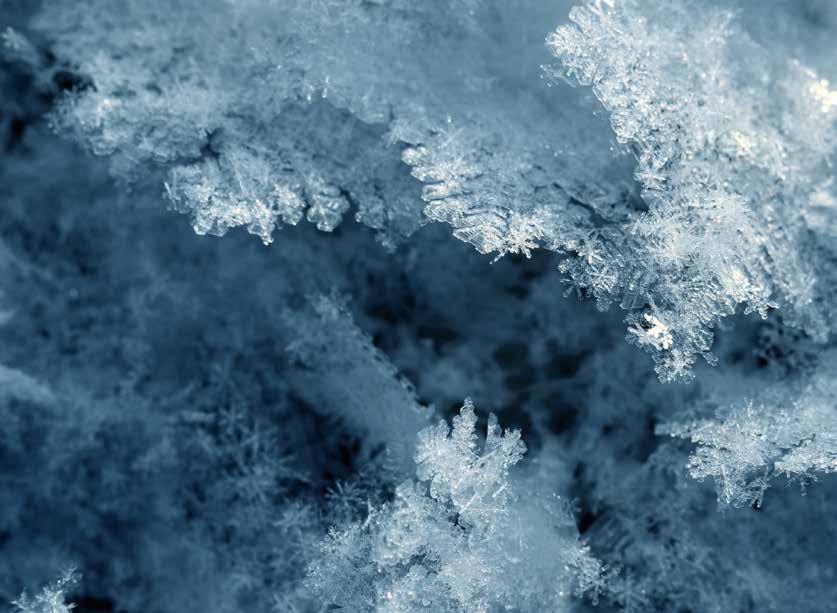 Luminen muotokuva Talvella paras aika muotokuvien ottamiseen on silloin, kun aurinko on piilossa ohuen pilviverhon takana.