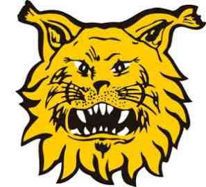 Joukkue esittelyt Ilves Ilves Ringette Tampere Neea Hauta Alus, Jasna Grozdanic, Anna Hautala, Sofia Majlund, Tamanna Debbarman, Venla Saine, Salli Kähönen, Aino Palosaari, Nana Majlund, Anriika