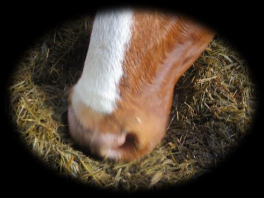 Tulosten tarkastelussa huomioitavaa Tuloksia tarkasteltaessa on huomioitava, että ne on laskettu yhden tilan tiedoilla, tiettynä ajankohtana ja sen hetkisiä markkinahintoja käyttäen.